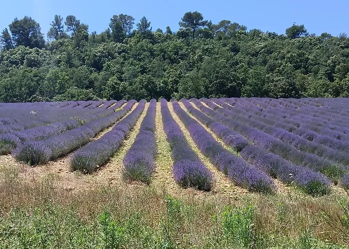 Camping Mobil 6 Personnes Climatisation Croix Du Verdon - Gorges Du Verdon
