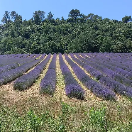 Campingplads Mobil 6 Personnes Climatisation Croix Du Verdon - Gorges Du Verdon