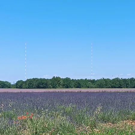 Mobil 6 Personnes Climatisation Croix Du Verdon - Gorges Du Verdon
